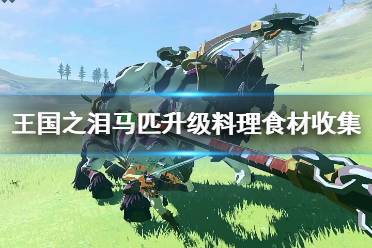 《塞尔达传说王国之泪》攻略——马